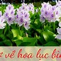 Lời Bài Thơ Có Được Hoà Bình Không Phải Dễ