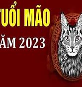 Năm 2023 Tử Vi Tuổi Mão