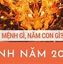 Năm 2024 Là Con Rồng Màu Gì