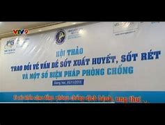 Syt Đồng Nai