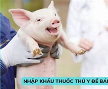 Thuế Nhập Khẩu Thuốc Thú Y